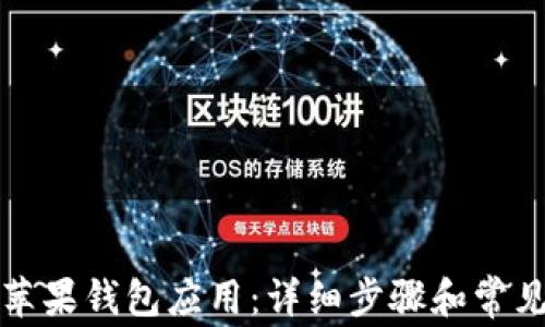 
如何下载苹果钱包应用：详细步骤和常见问题解答