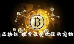 玩转区块链：探索最受欢迎的宠物游戏