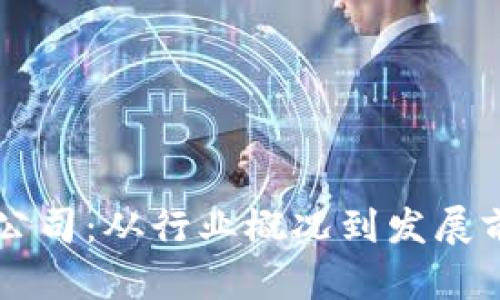 青岛区块链游戏公司：从行业概况到发展前景的全方位解析